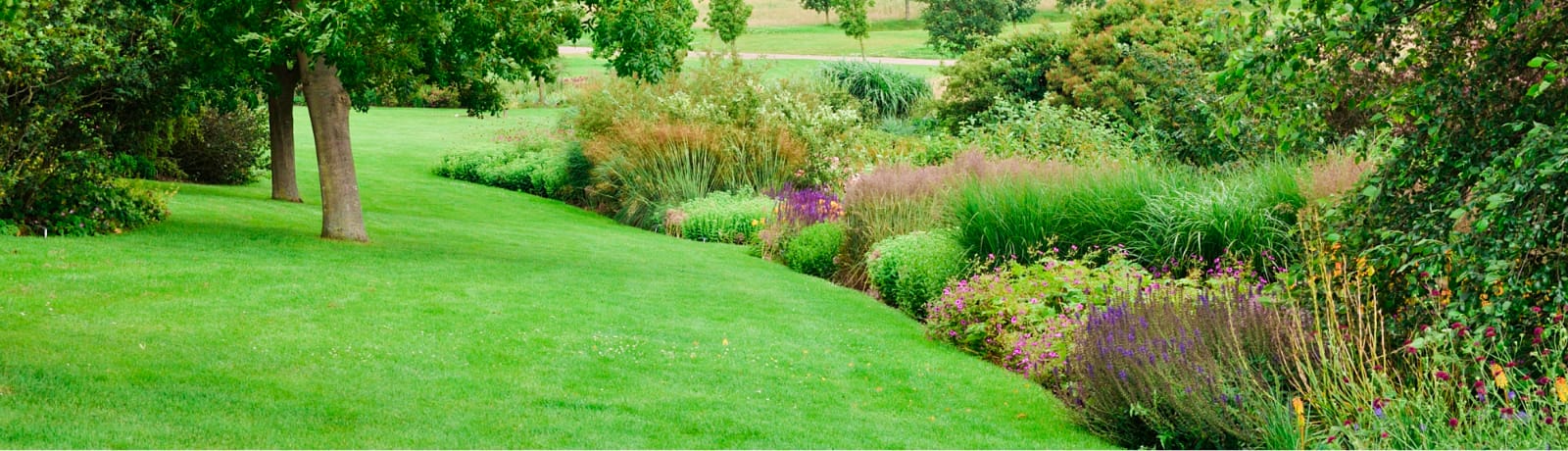 わたしたちの強み