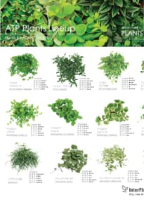 アクアテラポットグリーン