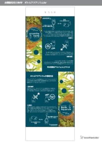 ボトルアクアリウム