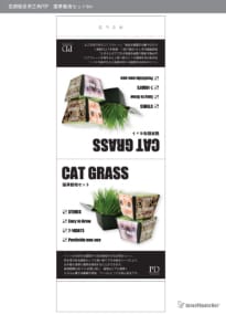 猫草栽培セット