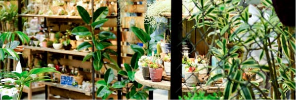 ホームユース事業部