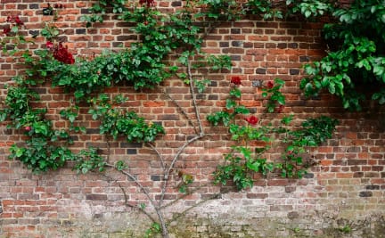 Hakusan International Co.,Ltd