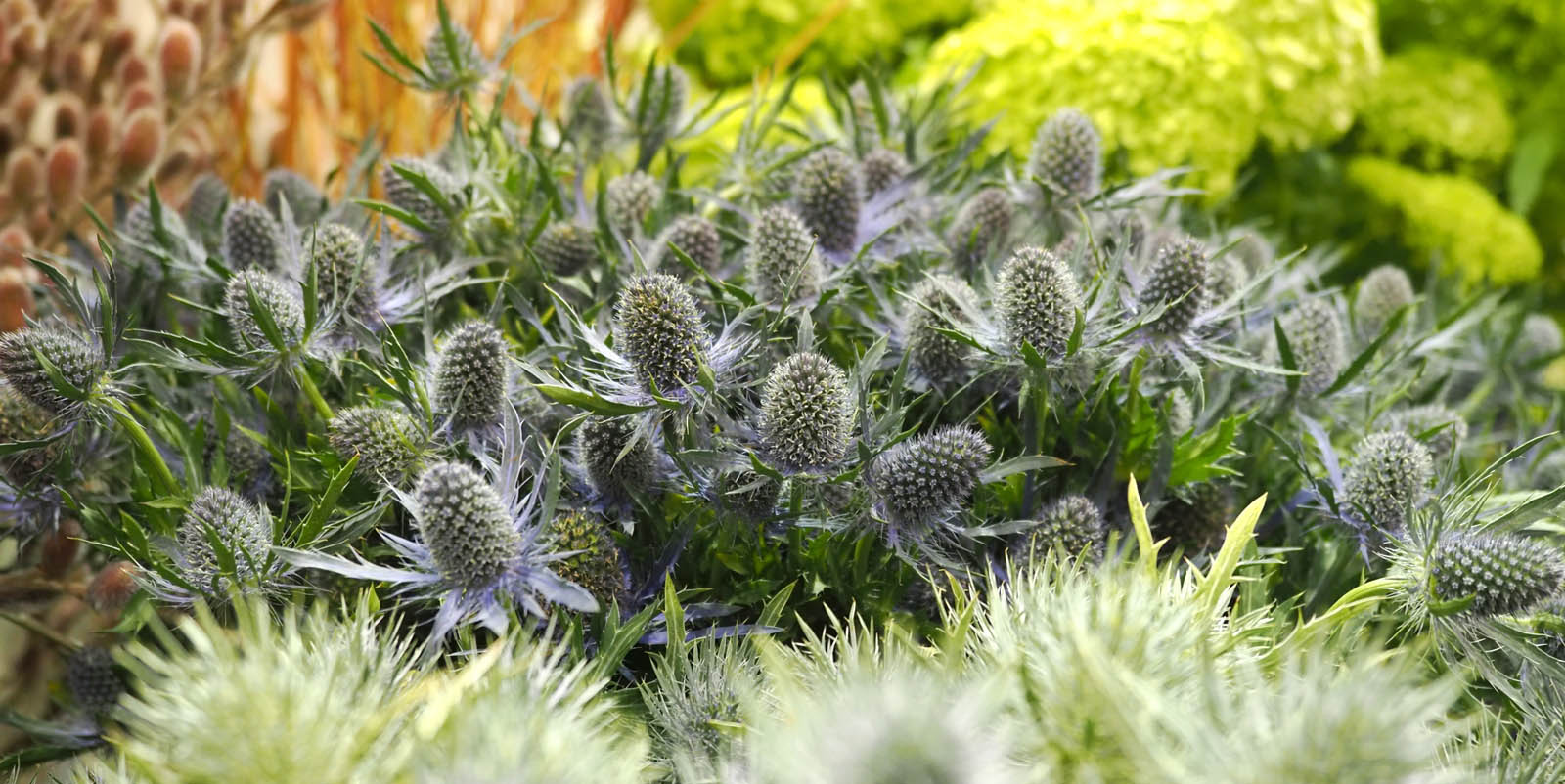 未来アグリス株式会社