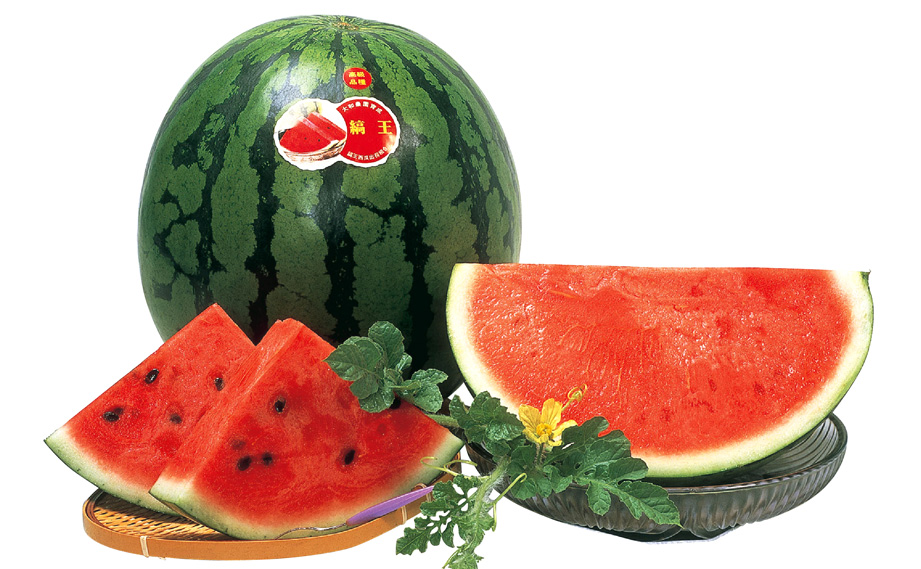 大玉スイカ　縞王<