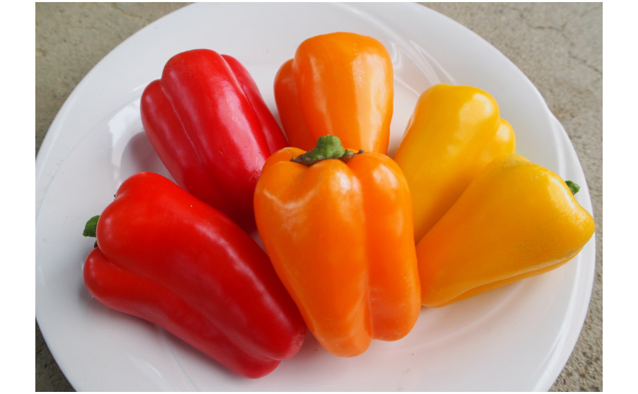 パプリカ　プルチーノ