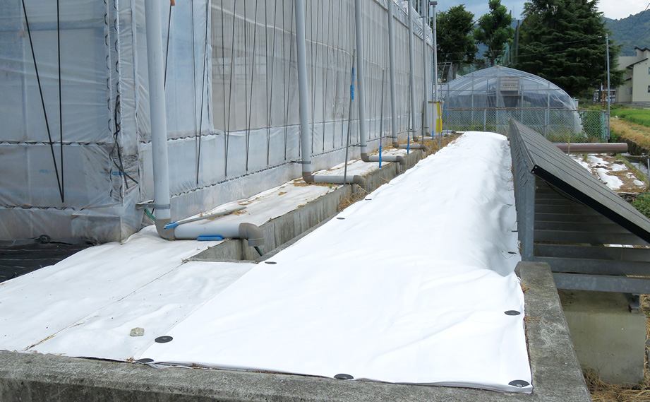 虫フラットシート<