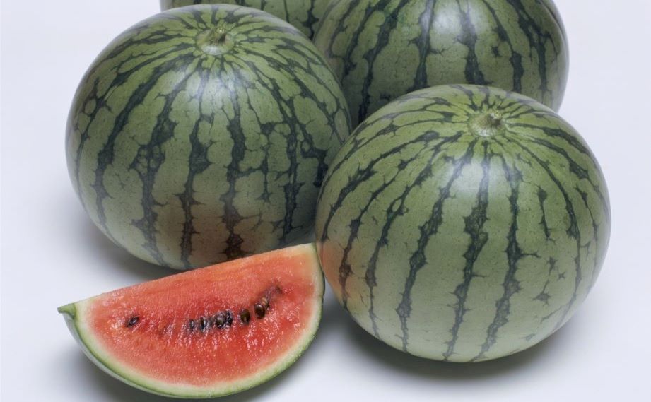 小玉スイカ　紅しずく<