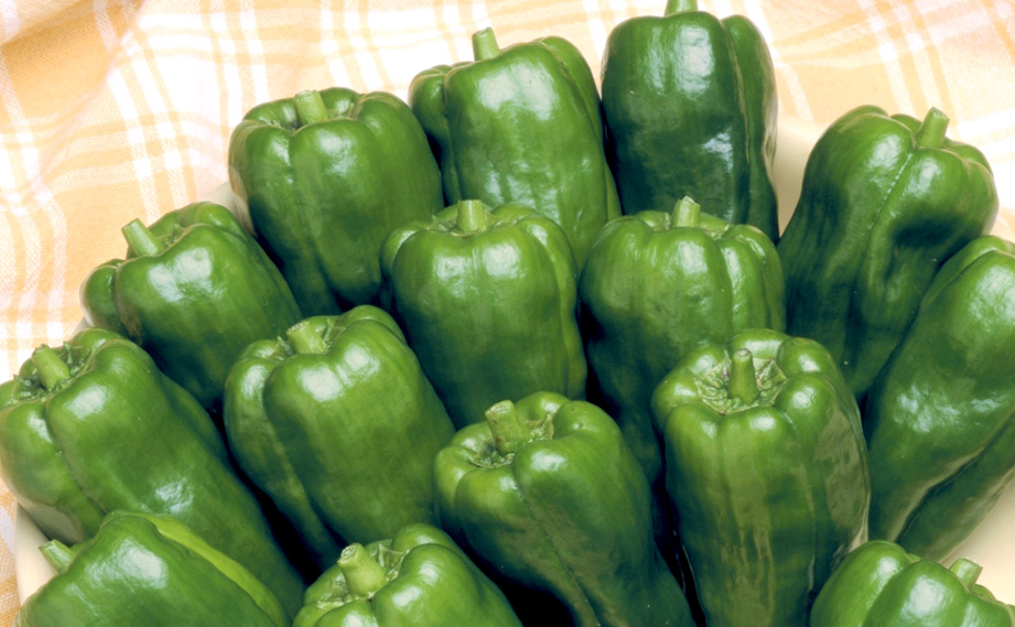 ピーマン　京鈴<