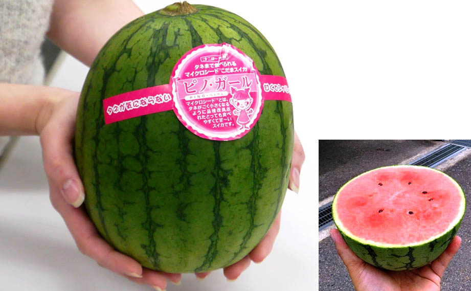 小玉スイカ　ピノ・ガール<