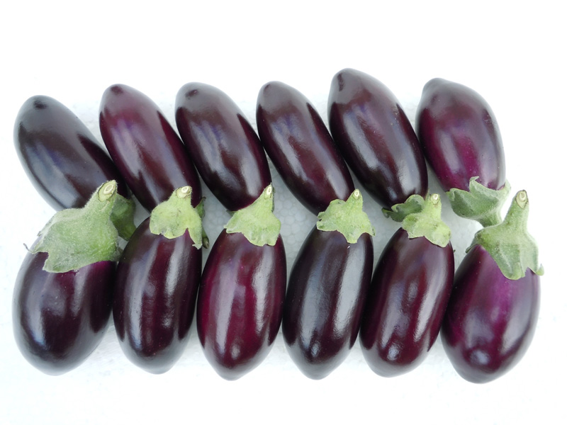 ナス　ぼうや茄子<