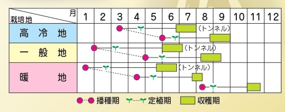 ラベルイメージ