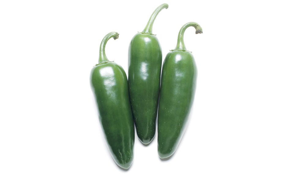 こどもピーマン　ピー太郎<