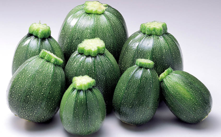 ズッキーニ　ミニ丸 シリーズ<