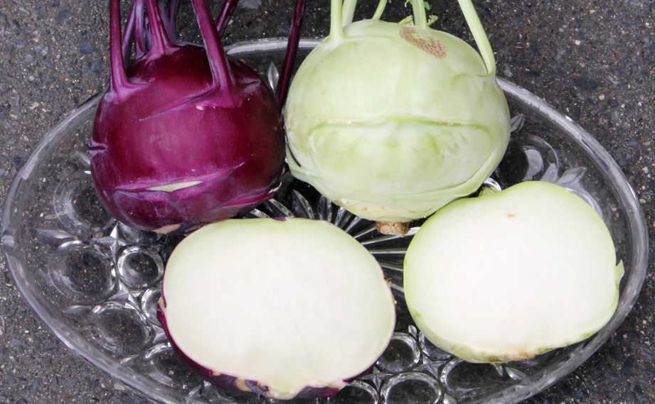 コールラビ　コラビ シリーズ<