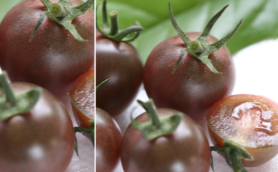 ミニトマト　リコピーナ ブラック<