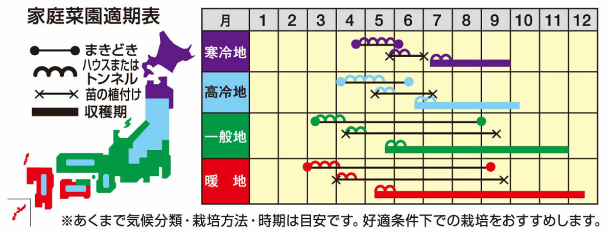 ラベルイメージ