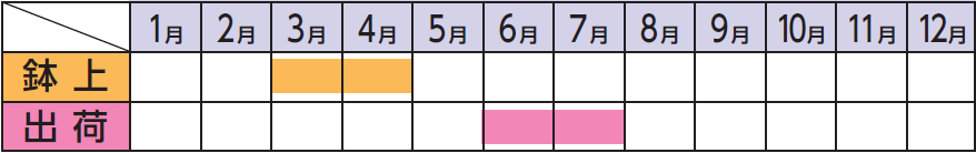 ラベルイメージ