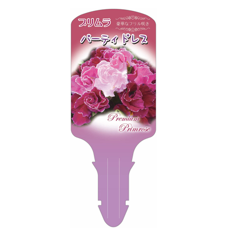 ラベルイメージ