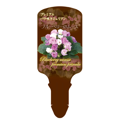 ラベルイメージ