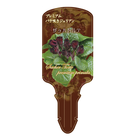 ラベルイメージ