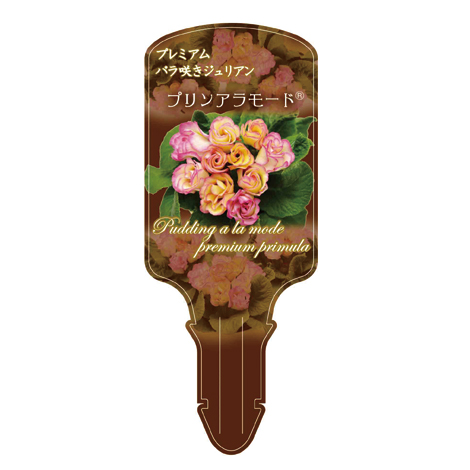 ラベルイメージ