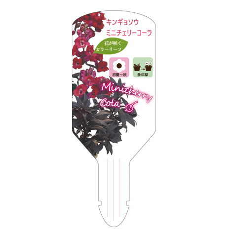 ラベルイメージ