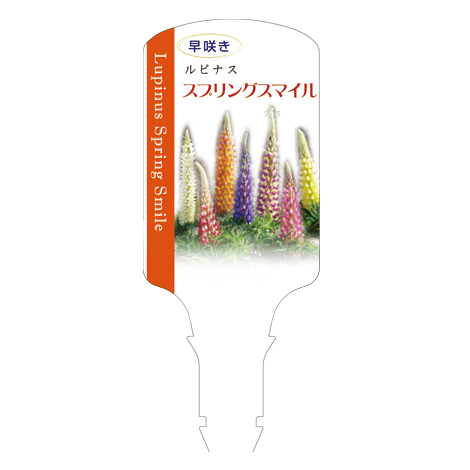 ラベルイメージ