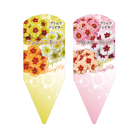 ラベルイメージ