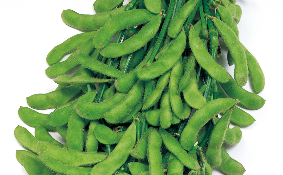 エダマメ　おつな姫<