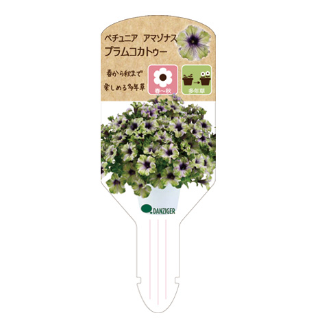 ラベルイメージ