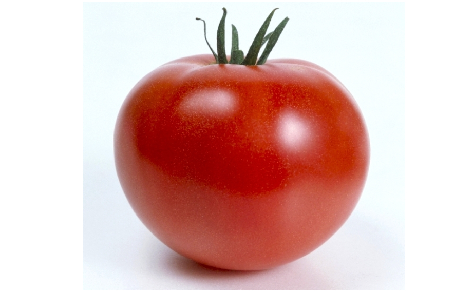 トマト　ホーム桃太郎<