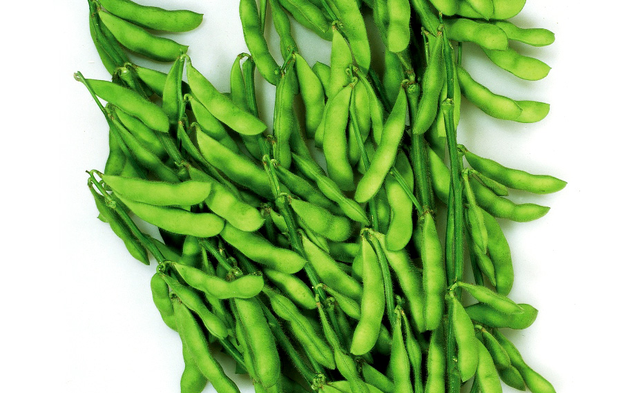 エダマメ　湯あがり娘<