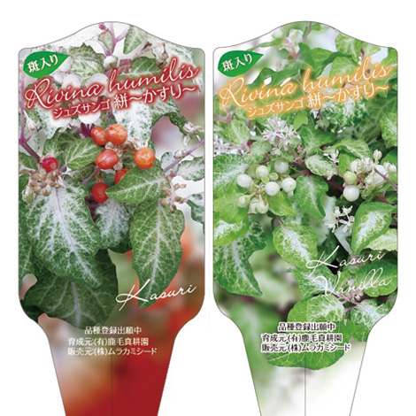 ラベルイメージ