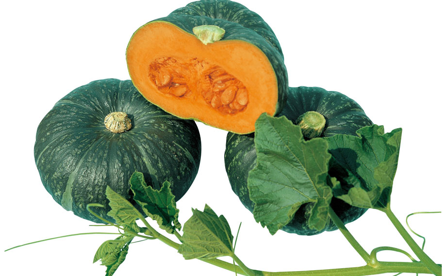 カボチャ　味てんぐ<