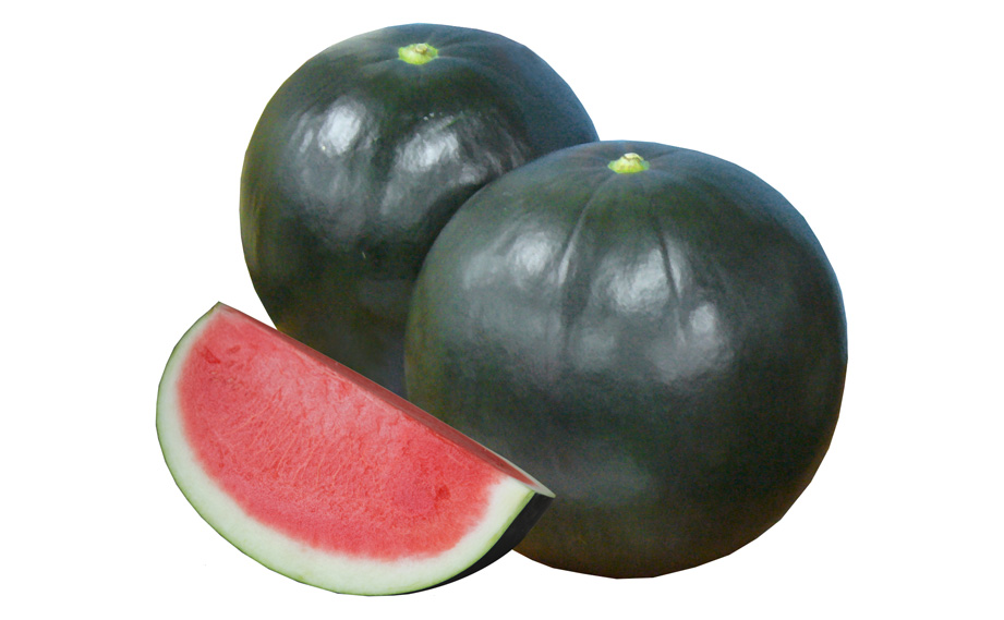 スイカ　3Xブラックジャック<