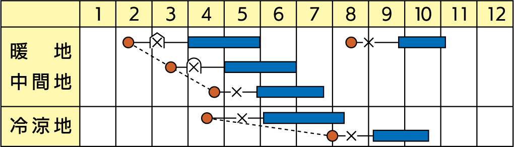 ラベルイメージ