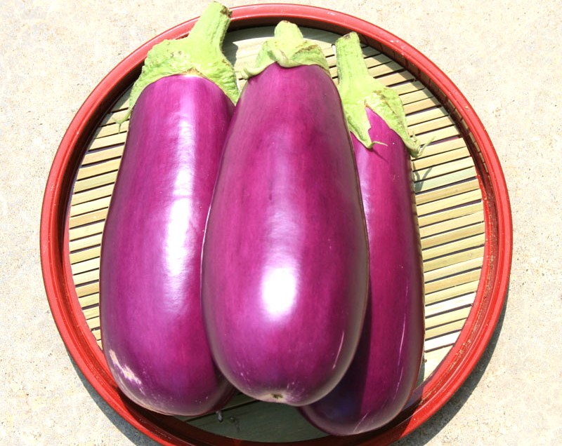 ナス　絹むらさき<