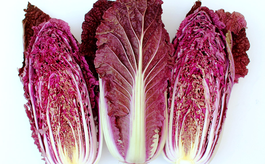 ハクサイ　紫奏子<