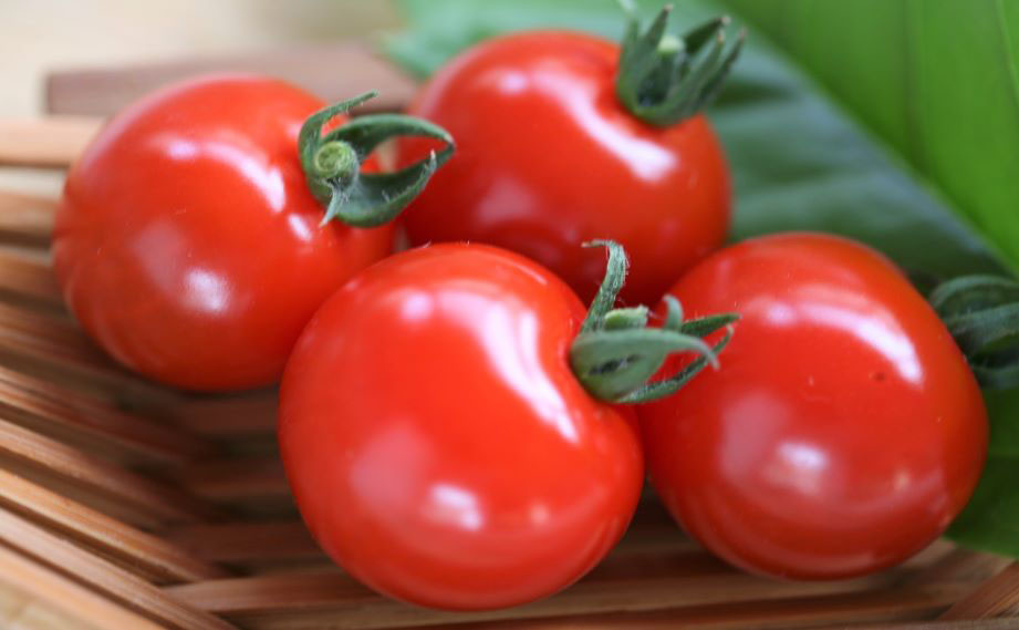 ミニトマト　千果<