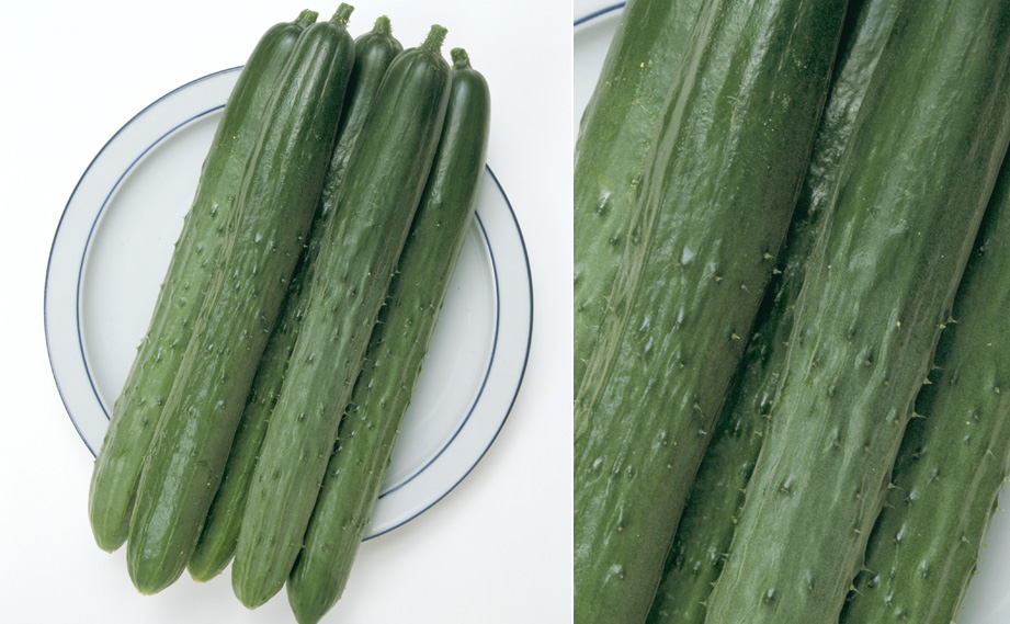 キュウリ　北進<