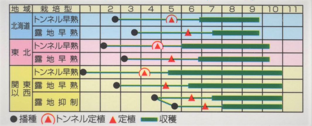 ラベルイメージ