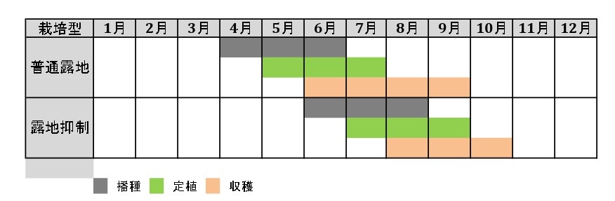 ラベルイメージ