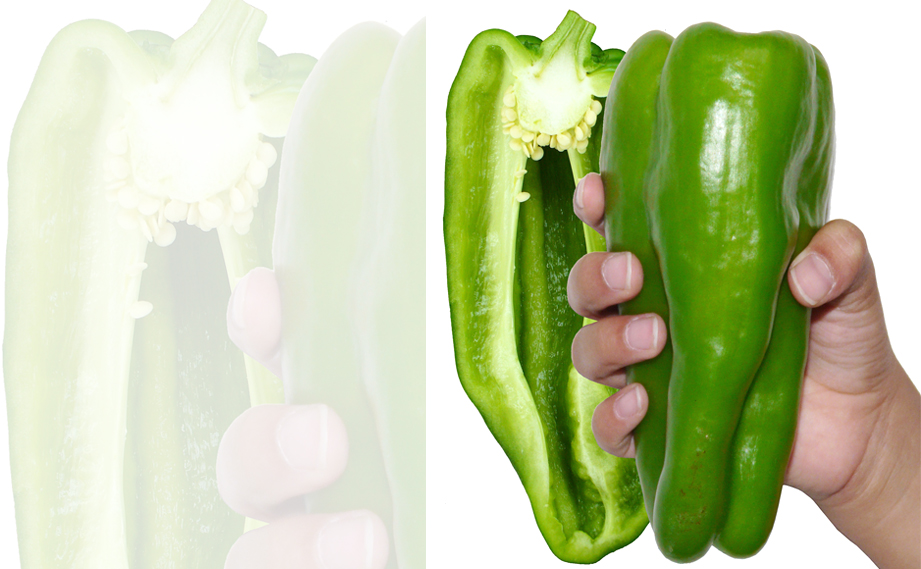 ピーマン　とんがりパワー<