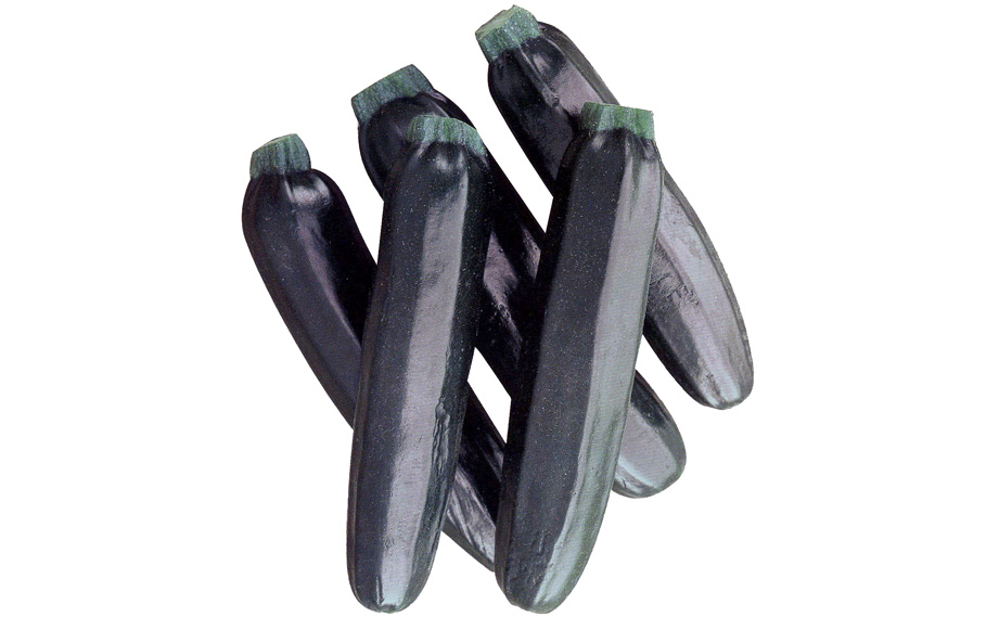 ズッキーニ　モスグリーン<