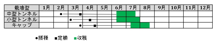 ラベルイメージ