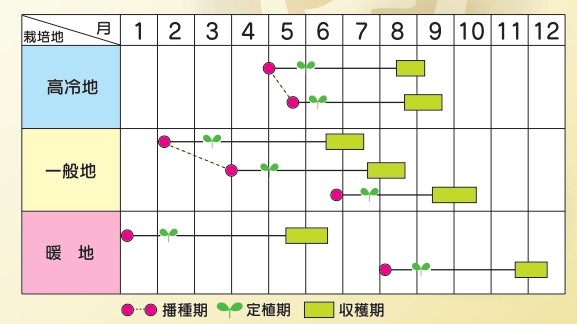 ラベルイメージ