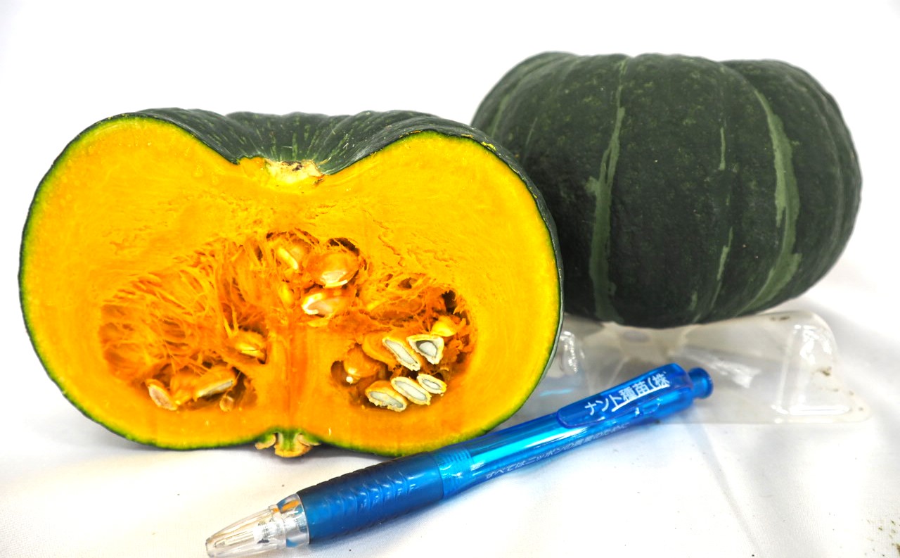 カボチャ　すずなりパンプティ<