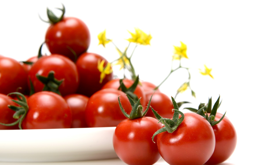 ミニトマト　小鈴クイーン<