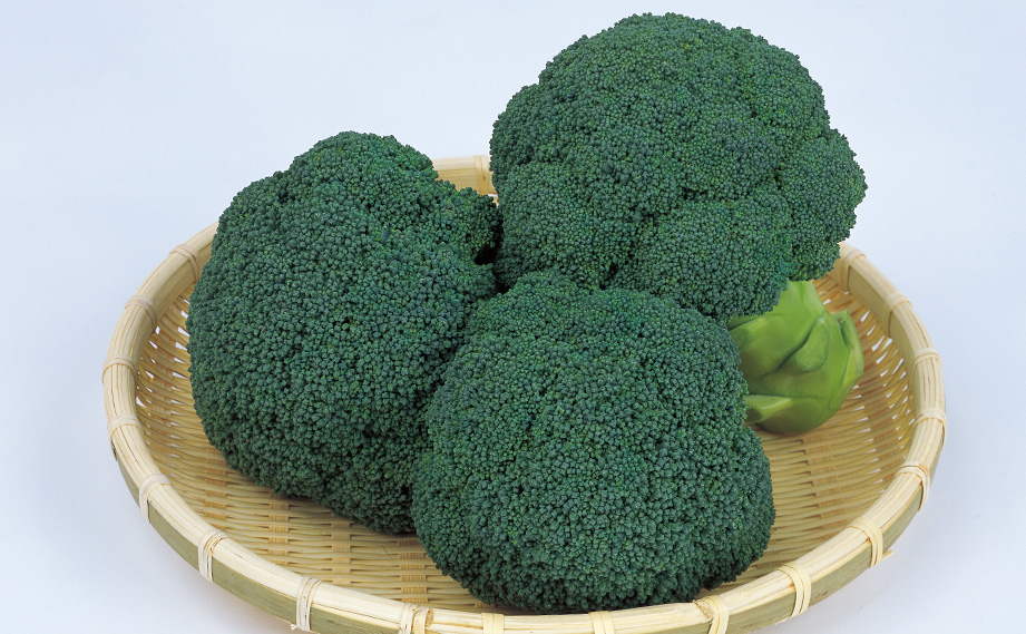 ブロッコリー　おはよう<