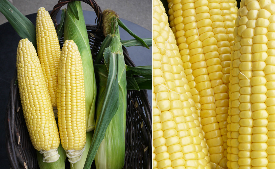 トウモロコシ　恵味スター<